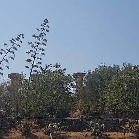 Valle Dei Templi Al Mare - A San Leone Appartamento Agrigento